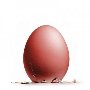 Egg