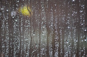Spring Rain 2012 (142)