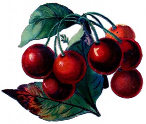 1ascrapcherries-graphicsfairy005