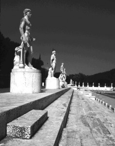 foro